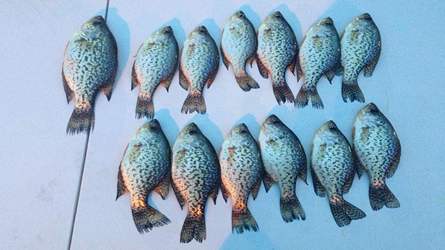 fishing_slide2
